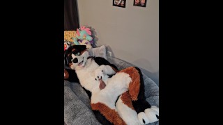 @AngryBarks z ordinace veterináře vás naučí, jak dojit svého přítele 👨 🔬💦 štěněte