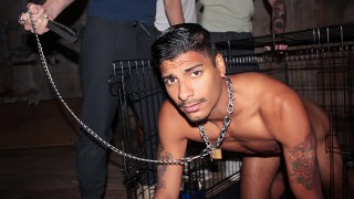 🐶 Humiliated Frat Pledger Apollo endure un bizutage sexy : chien en cage, bol d’eau et soumission anale