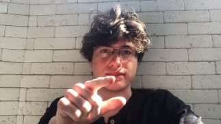 I piccioni ci stanno osservando?