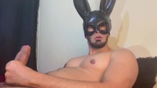 Conejo malo