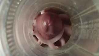 Fleshlight