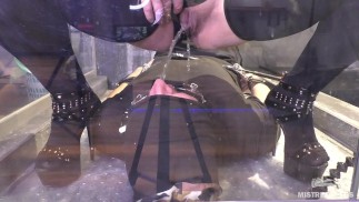 Human Toilet Fetish Fantasy - Mistress Pees Into Slave's Mouth, Kompilacja