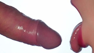 PRIMO PIANO: pompino bollente della modella bruna, labbra rosse sul cazzo duro