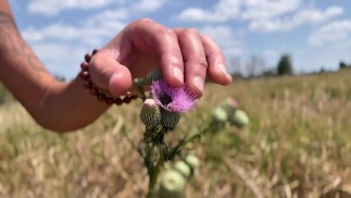 ¡Mira mis tetas rebotar en la naturaleza! 🌱