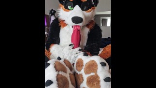 @AngryBarks suce son os💦 extra large