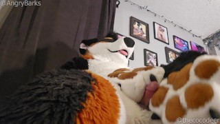 @AngryBarks hraje s tlapkami své nevlastní sestry, olizuje si z nich💦 cum #PawFetish #FootJob #CumShot