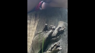 Naughty Outdoor Pee While Sitting on a Log