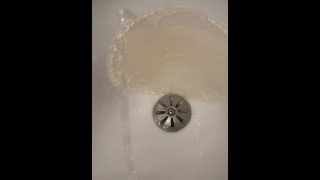 Florida Bar Piss - Dane Coxx